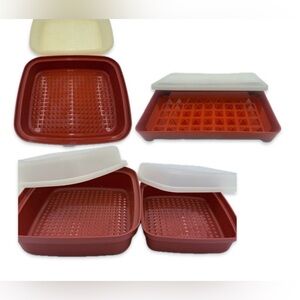 VTG Tupperware Season & Serve Meat Marinade Containers Paprika W Lids Set Of 4!!